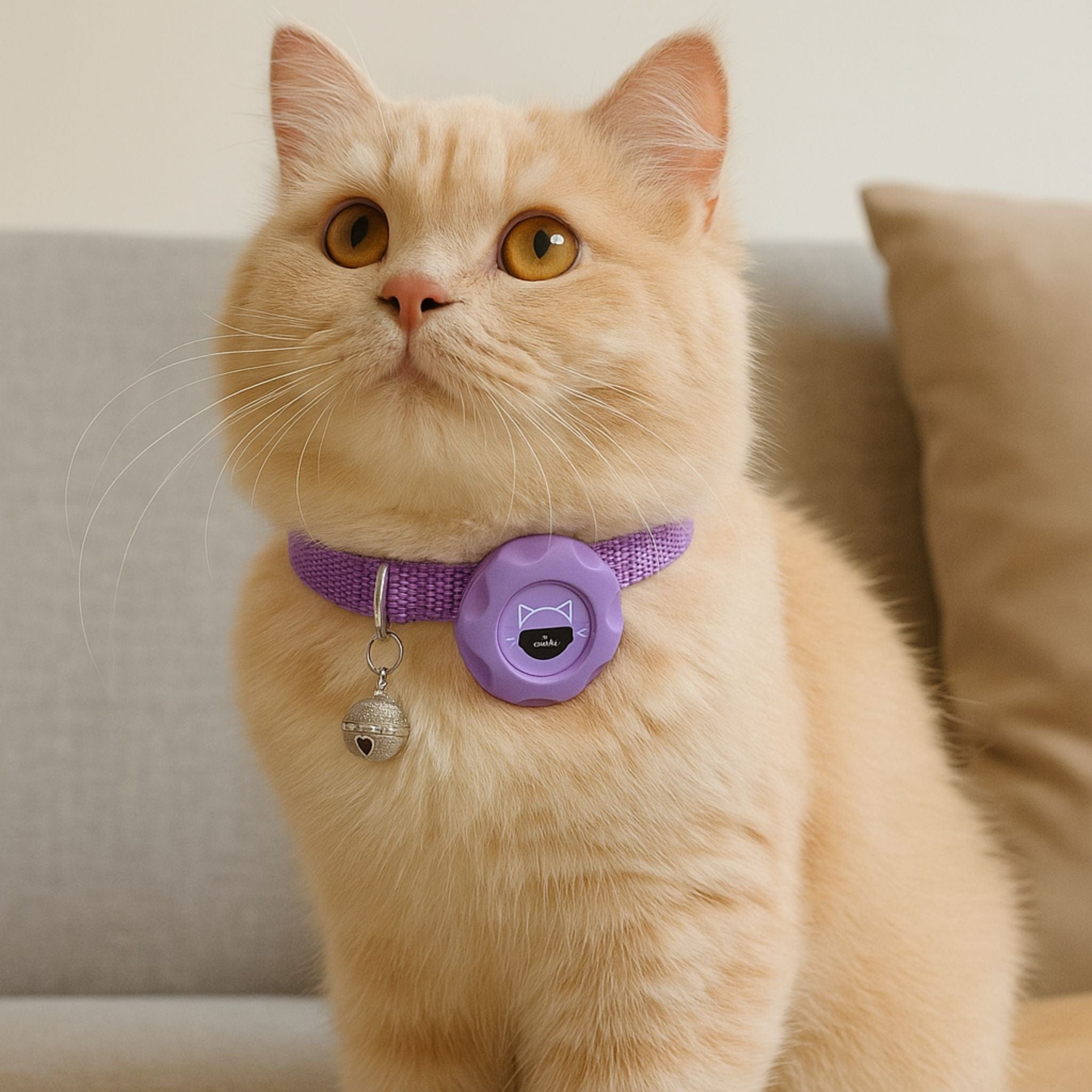 air tag cat collar