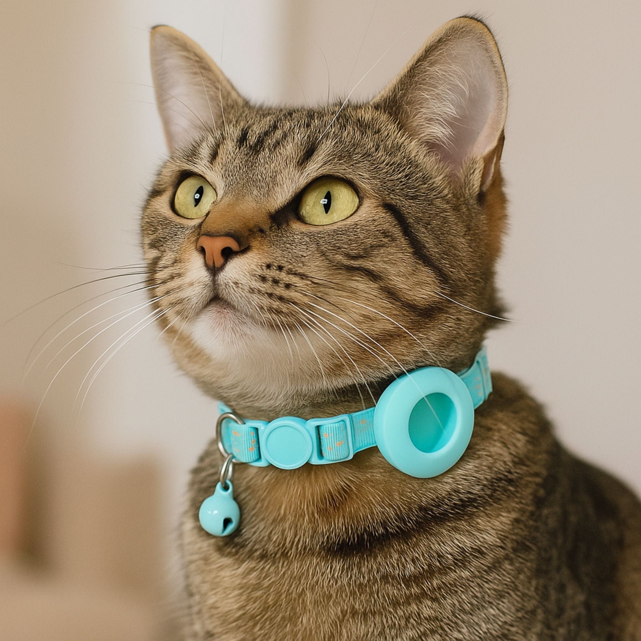 cat gps tracker collar